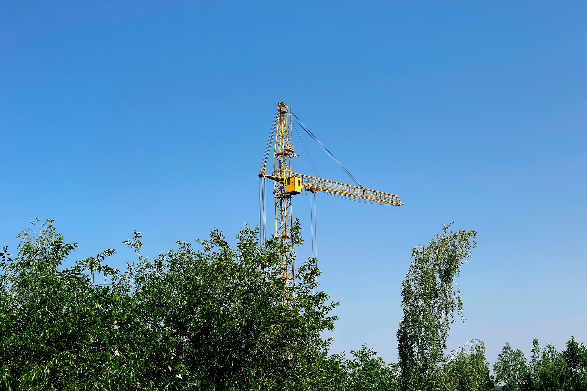 Construction crane and trees