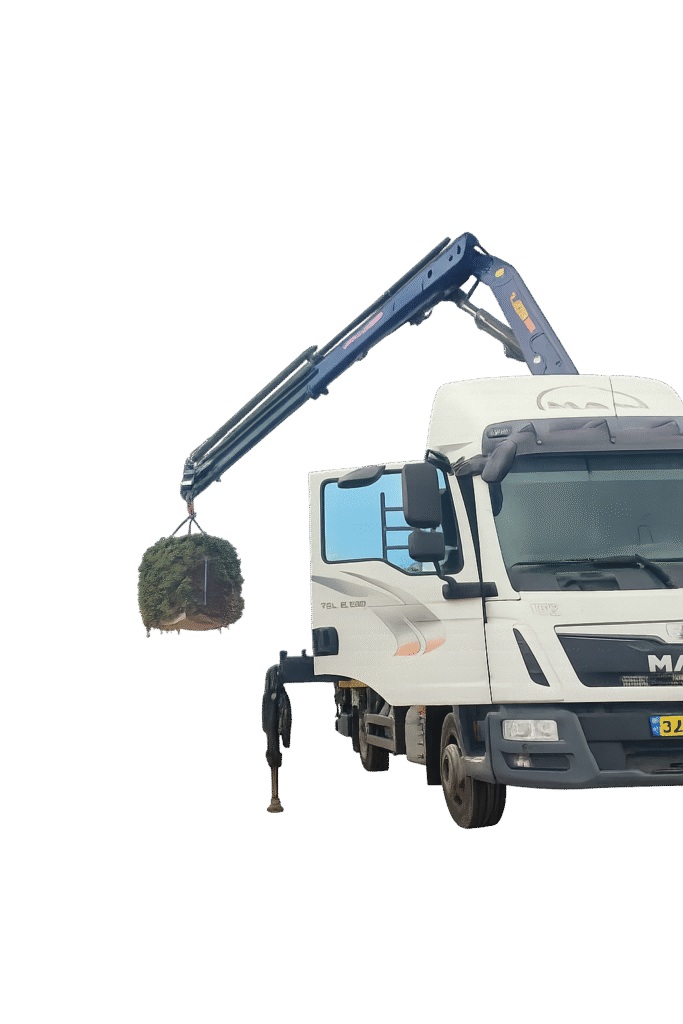 מנוף זרוע להשכרה