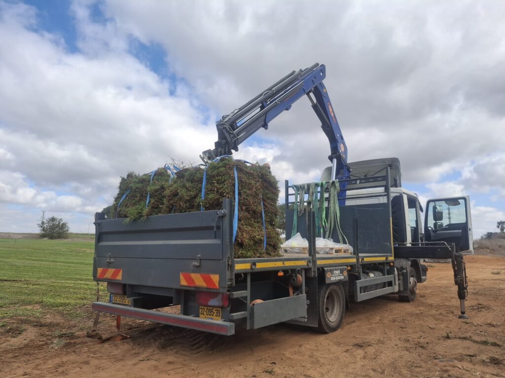 מנוף זרוע הנפת דשא