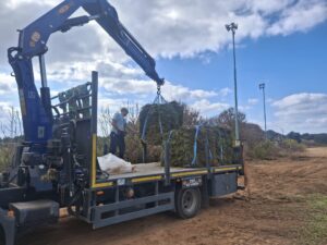 WhatsApp Image 2025-11-03 at 13.24.31